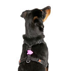 Flamingo Day&Night Luz de seguridad para perros, , large image number null