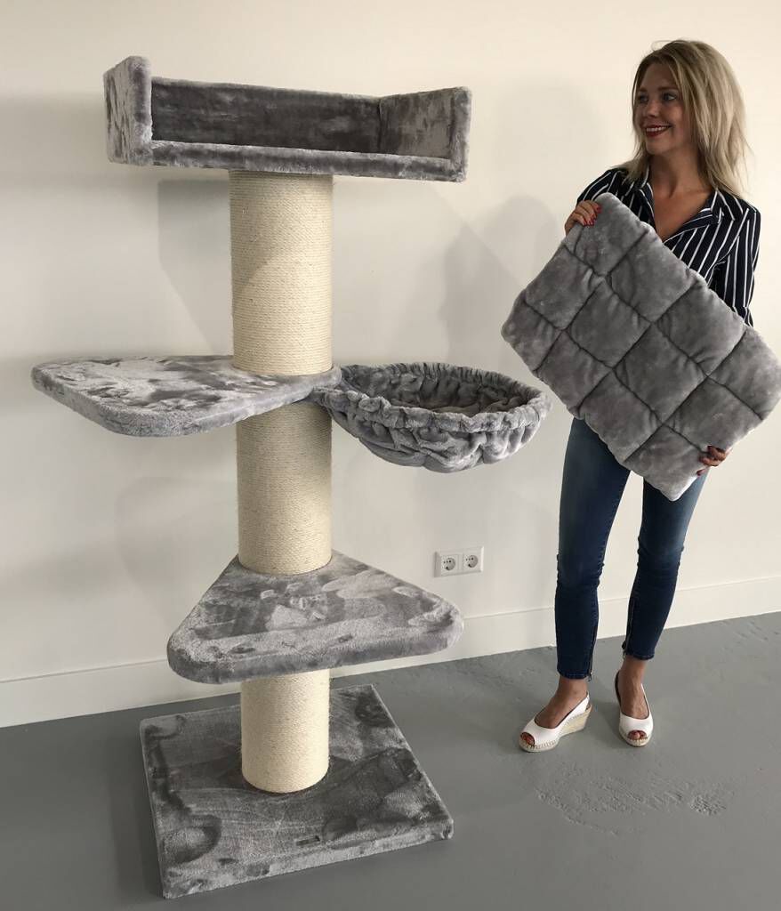 Rascador Royalty Plus Light Grey color Gris, , large Imagen numero 2