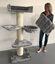 Rascador Royalty Plus Light Grey color Gris, , large indicador imagen numero 2