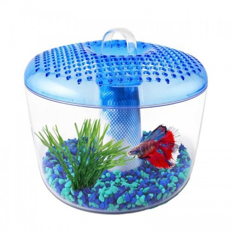 Pecera Marina Betta Torus 3 color Transparente thumbnail