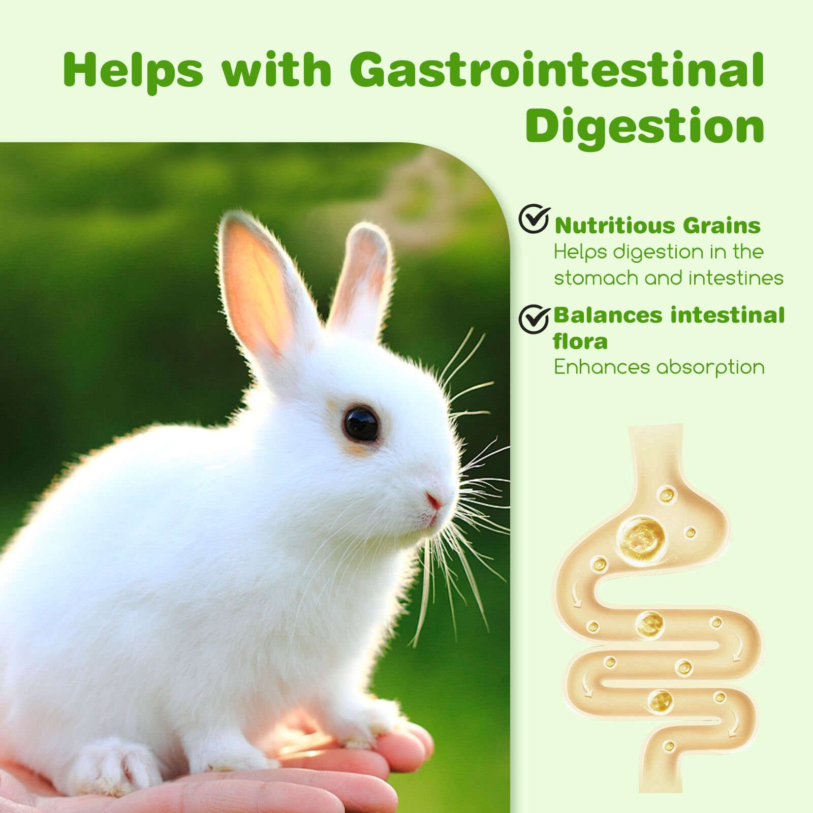 Nobleza Pienso Premium para Conejos Adultos thumbnail