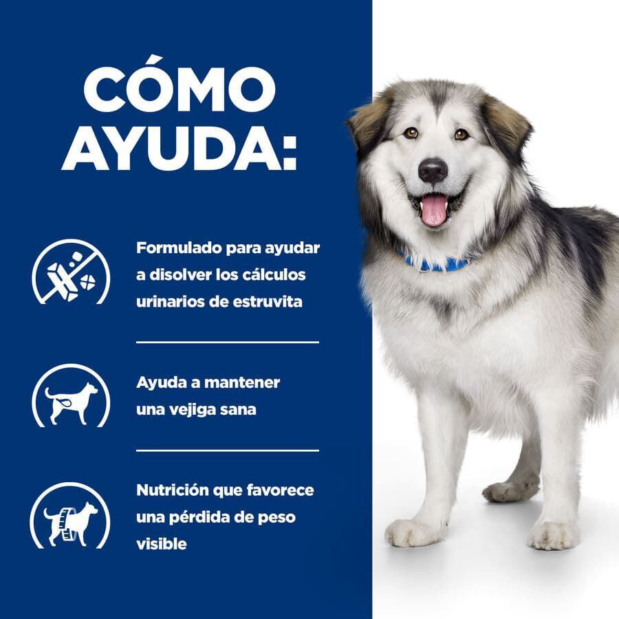 Hill&#039;s Prescription Diet Urinary + Metabolic c/d pienso para perros thumbnail