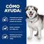 2 x 12 kg Hill's Prescription Diet Urinary + Metabolic c/d pienso para perros ¡Pack ahorro!, , large indicador imagen numero 4