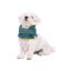 Cuello Bufanda para perro Groc Groc Uoamy Verde Peluche, , large indicador imagen numero 2