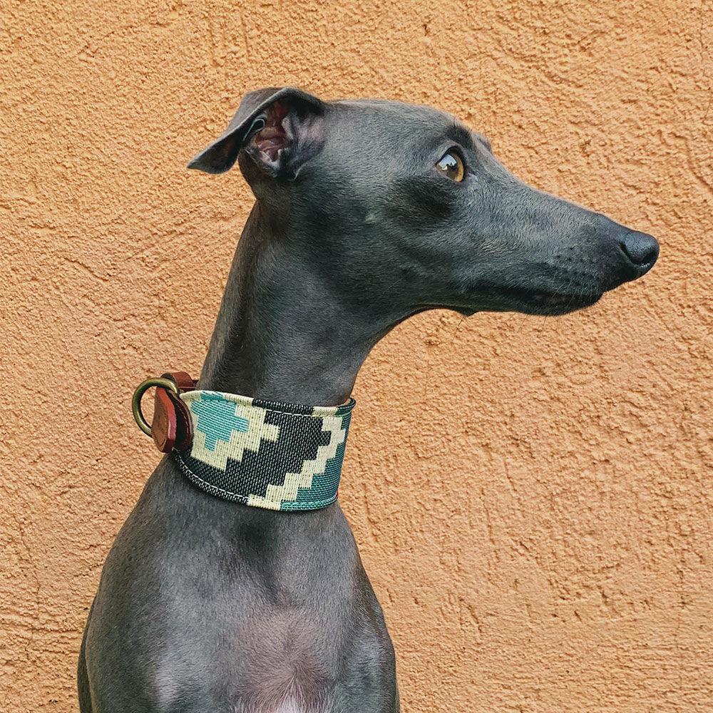 COLLAR PLUTO GALGO - XS, , large Imagen numero 2