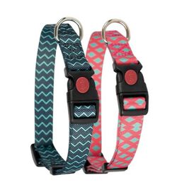 Ibañez Fantasy Mint Collar de Nylon con estampado para perros