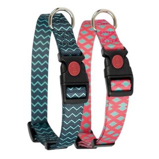 Ibañez Fantasy Mint Collar de Nylon con estampado para perros