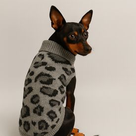 Nayeco Abrigo Leopard Jacquard Gris para perros