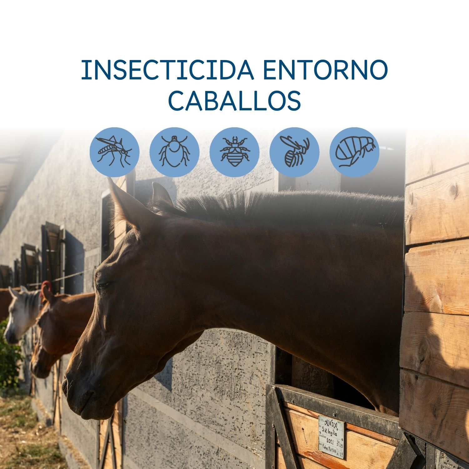 Spray Insecticida entorno caballos Lulipet  500 ml, , large Imagen numero 3