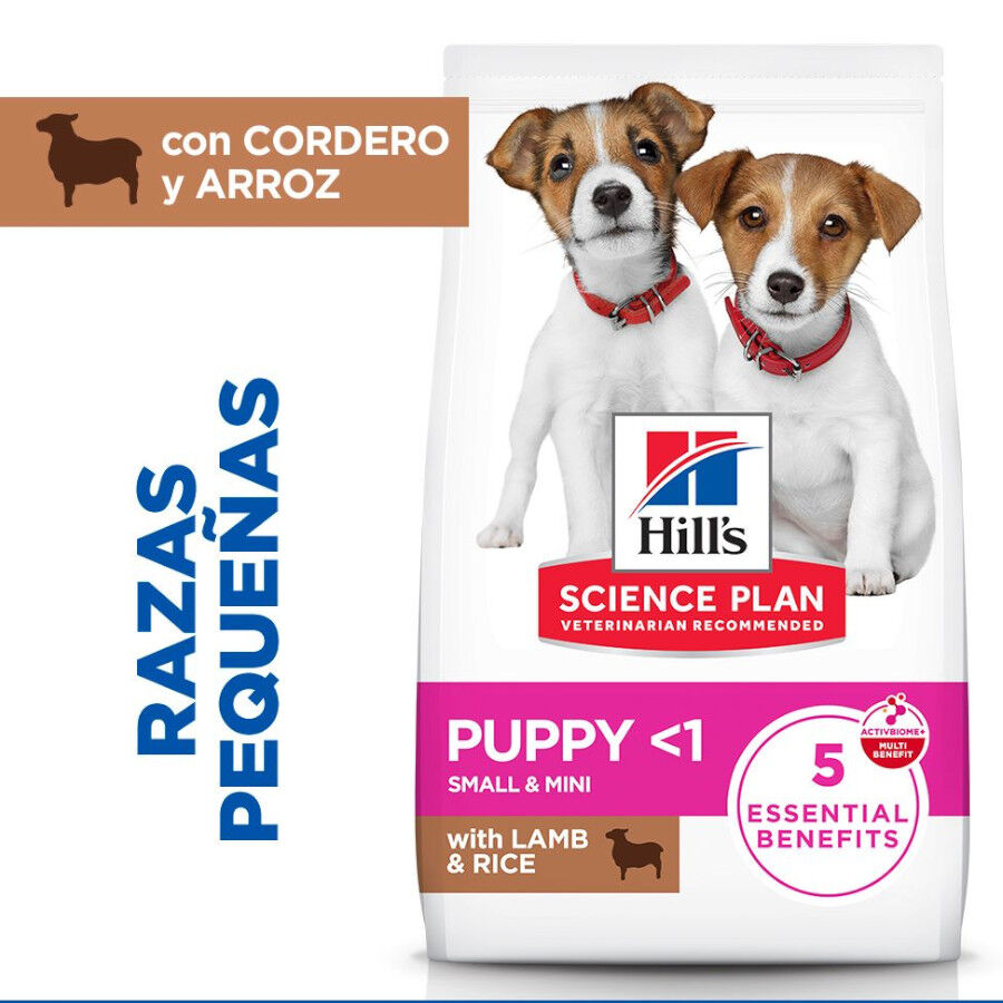 6 kg Hill's Science Plan Puppy Small y mini Cordero y arroz para perros, , large Imagen numero 2