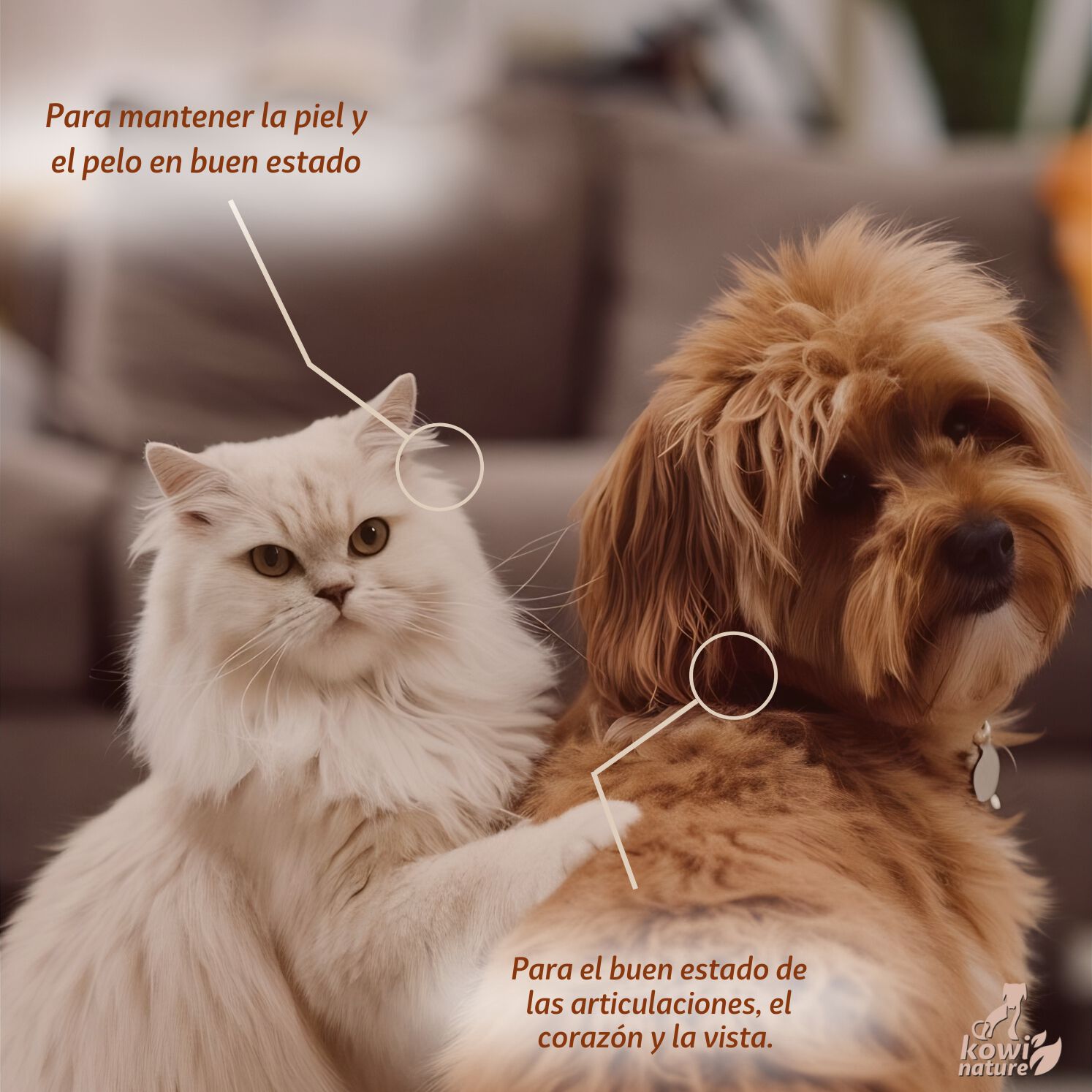 Kowi Omega 60 Perlas, , large Imagen numero 5