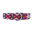 LOYAL COLLAR DE PIEL ARTESANAL TALLA M PARA PERROS, , large indicador imagen numero 1