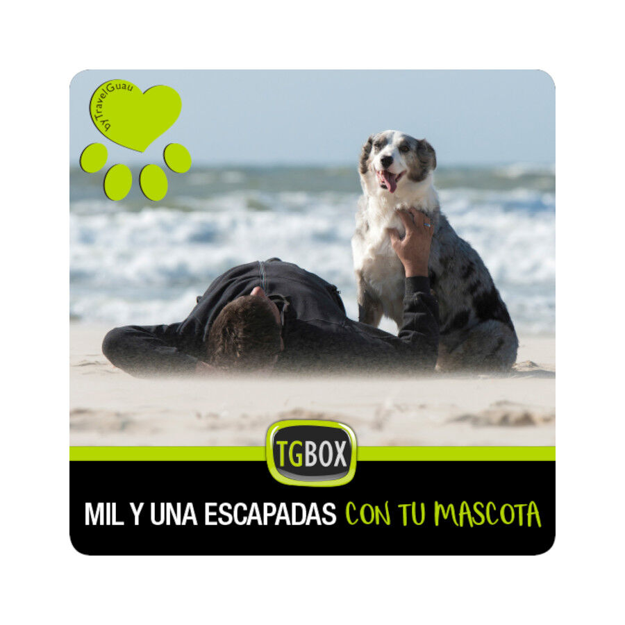TGBOX Mil y una escapadas con tu mascota, , large Imagen numero 1