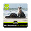 TGBOX Mil y una escapadas con tu mascota, , large indicador imagen numero 1