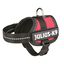 Julius K-9 arnés de fuerza rojo para perros, , large indicador imagen numero 1