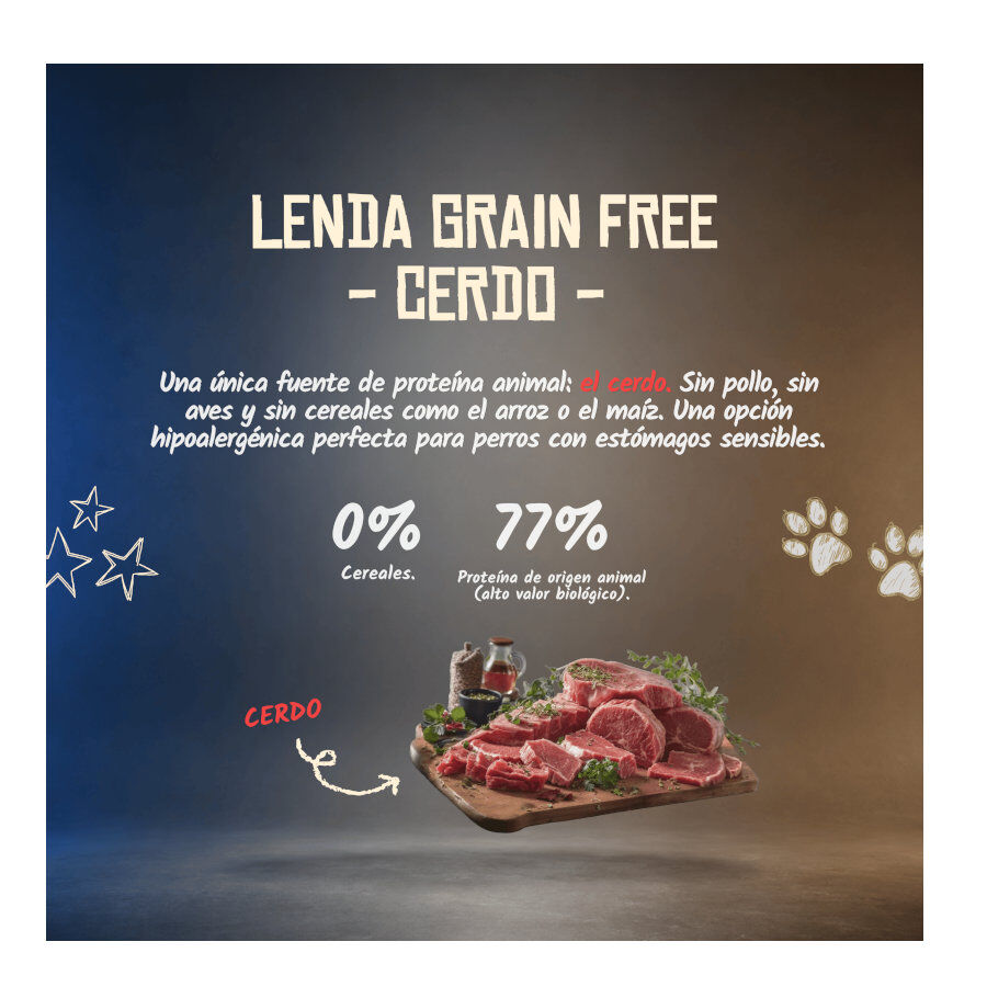 10 kg Lenda Grain Free Cerdo pienso para perros, , large Imagen numero 4