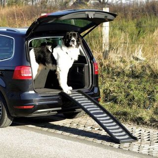 Rampa de acceso de perros para el coche color Gris y Negro