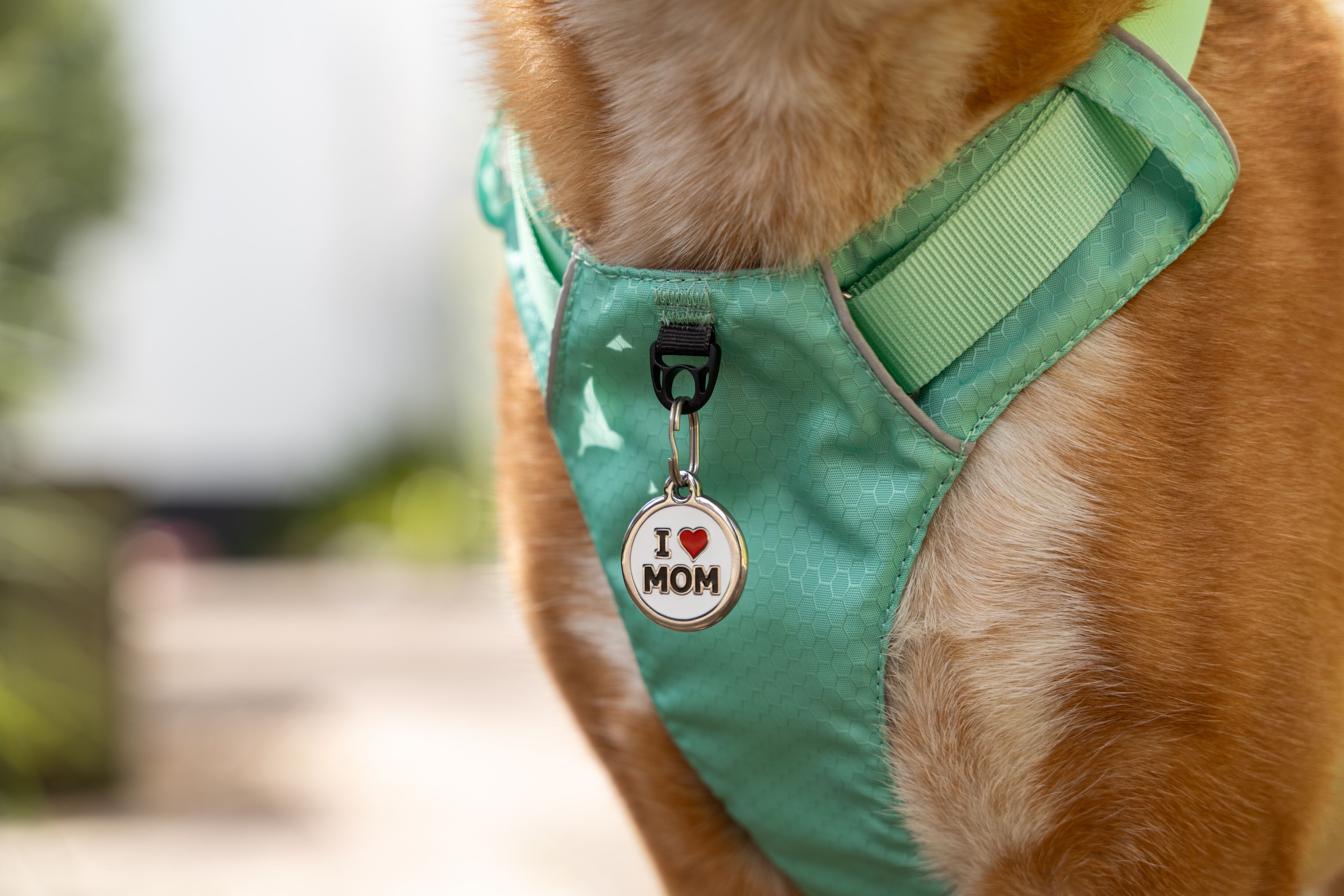 Placa identificativa Acero Inoxidable I love Mom Blanco para perros, , large Imagen numero 2