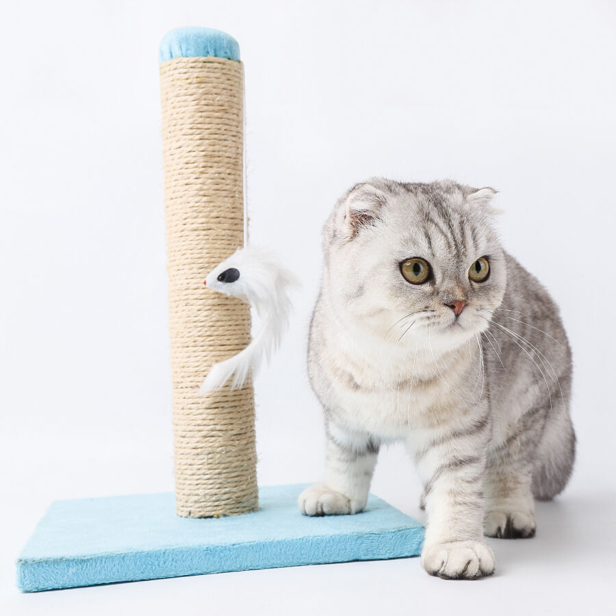 Nobleza &ndash; Poste rascador para Gatos de sisal con Juguete, , large Imagen numero 4