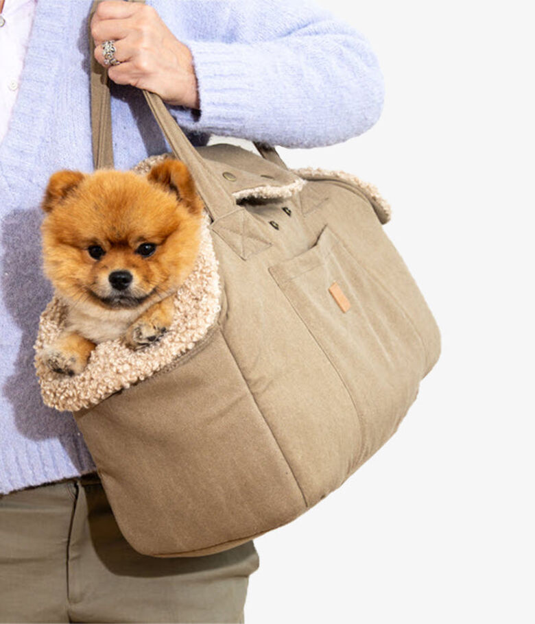 Pet and Co Bolso Portador De Mascotas Lona Natural Lucky Perros thumbnail