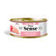 Dibaq Sense Grain Free Kitten Pollo y Manzana lata para gatos, , large indicador imagen numero 1