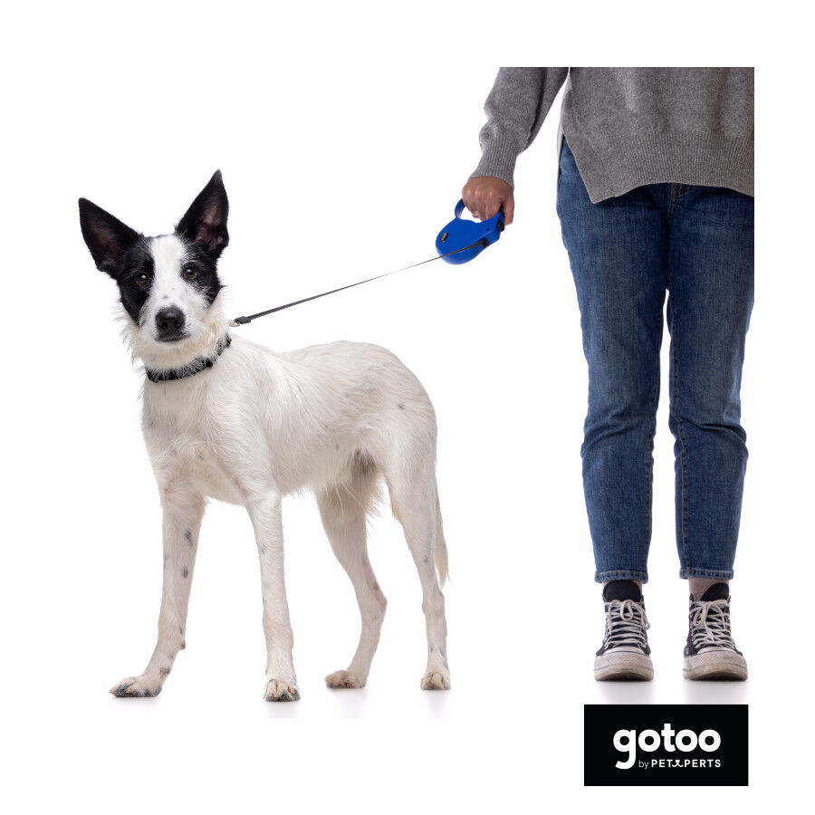 Gotoo Correa extensible azul para perros, , large Imagen numero 3