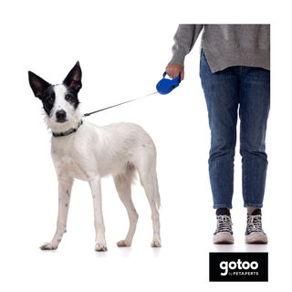 Gotoo Correa extensible azul para perros