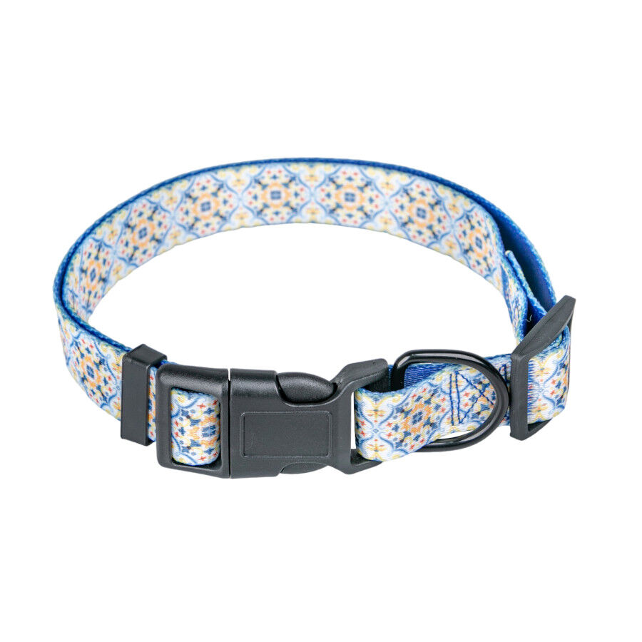 Summer Vibes Pack Correa y Collar Dolce Vita para perros, , large Imagen numero 3