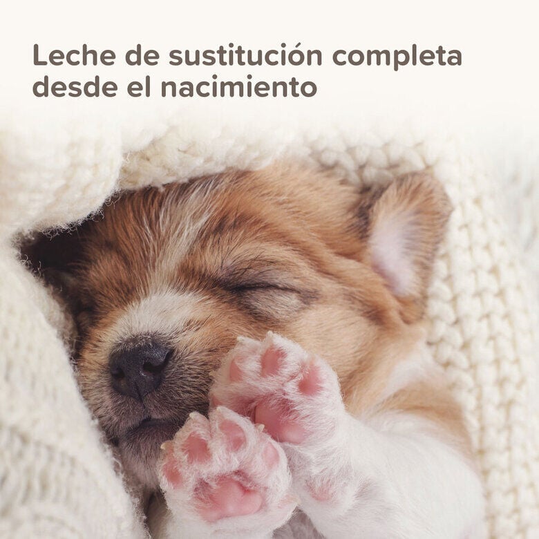 Beaphar Lactol Leche en Polvo para cachorros thumbnail