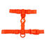 Arn&eacute;s Neon Naranja, , large indicador imagen numero 1