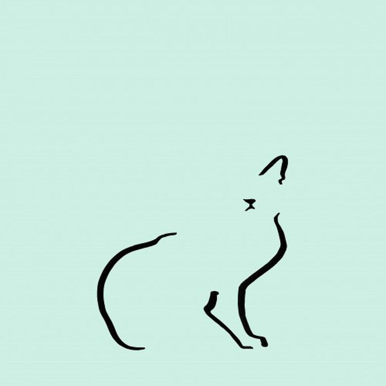 Ilustración de gato doméstico sin marco color Mint