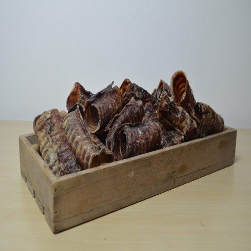 Tr&aacute;quea deshidratada para perros sabor Ternera, , large Imagen numero 2