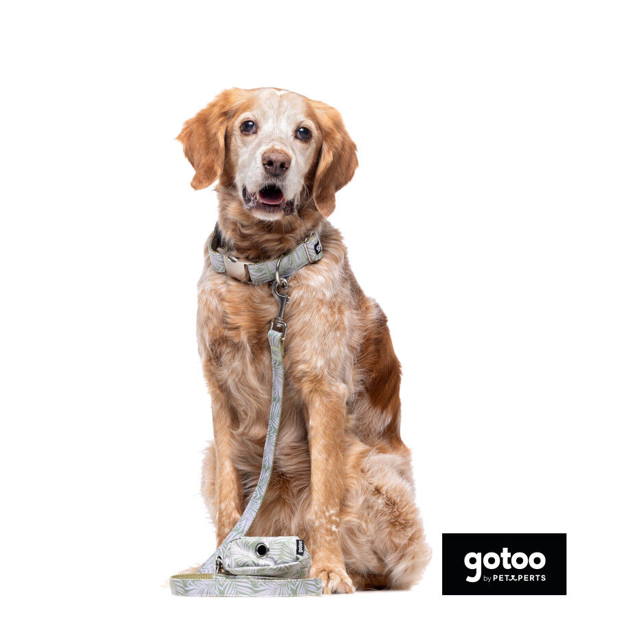 Collar estampado de hojas para perros thumbnail