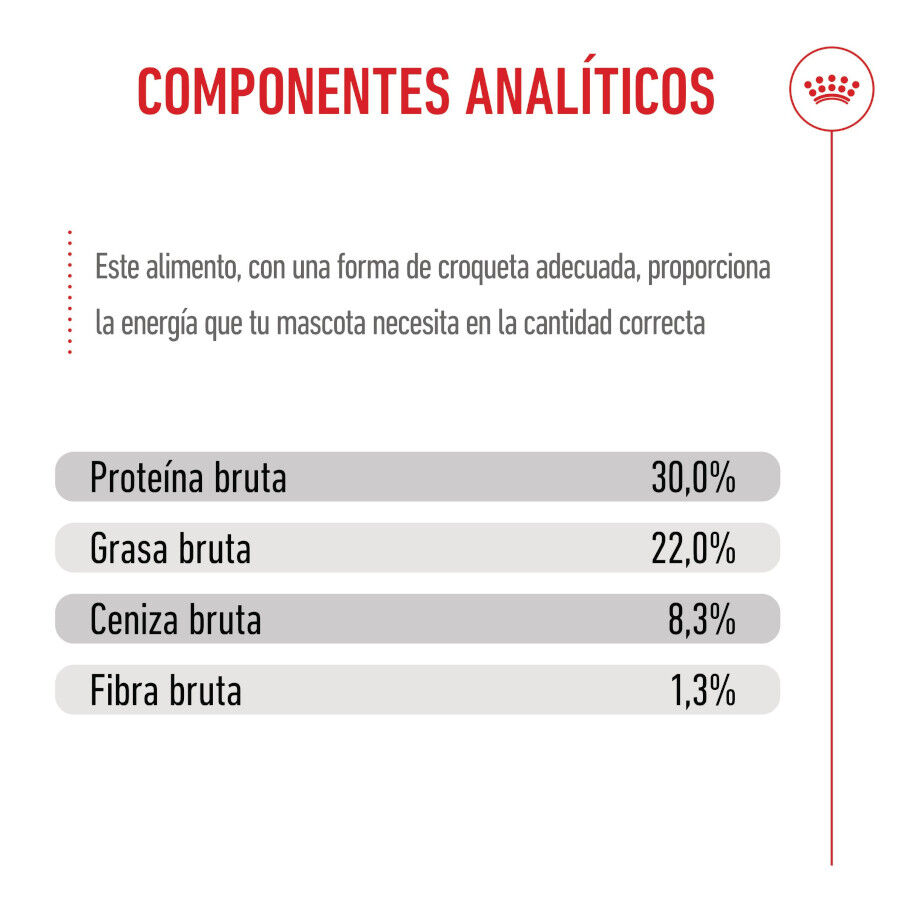 Royal Canin Medium Starter Mother&amp;Baby pienso para perros thumbnail