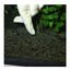 JBL 7 Kugeln Fertilizante para Plantas de acuarios de agua dulce, , large indicador imagen numero 7