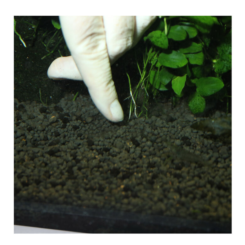 JBL 7 Kugeln Fertilizante para Plantas de acuarios de agua dulce thumbnail