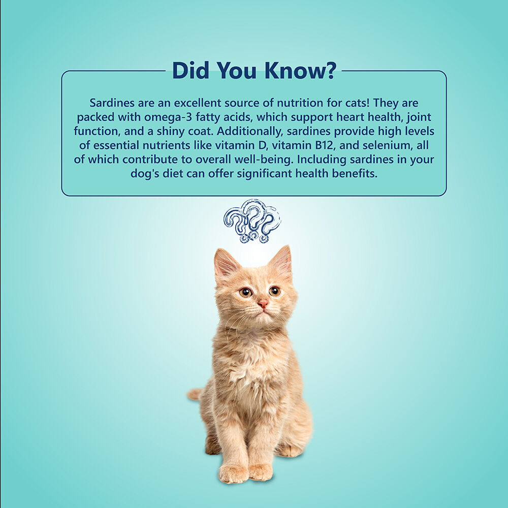 Alimento completo y equilibrado sin cereales para gatos: receta de pescado (500 g/17,64 oz), , large Imagen numero 5