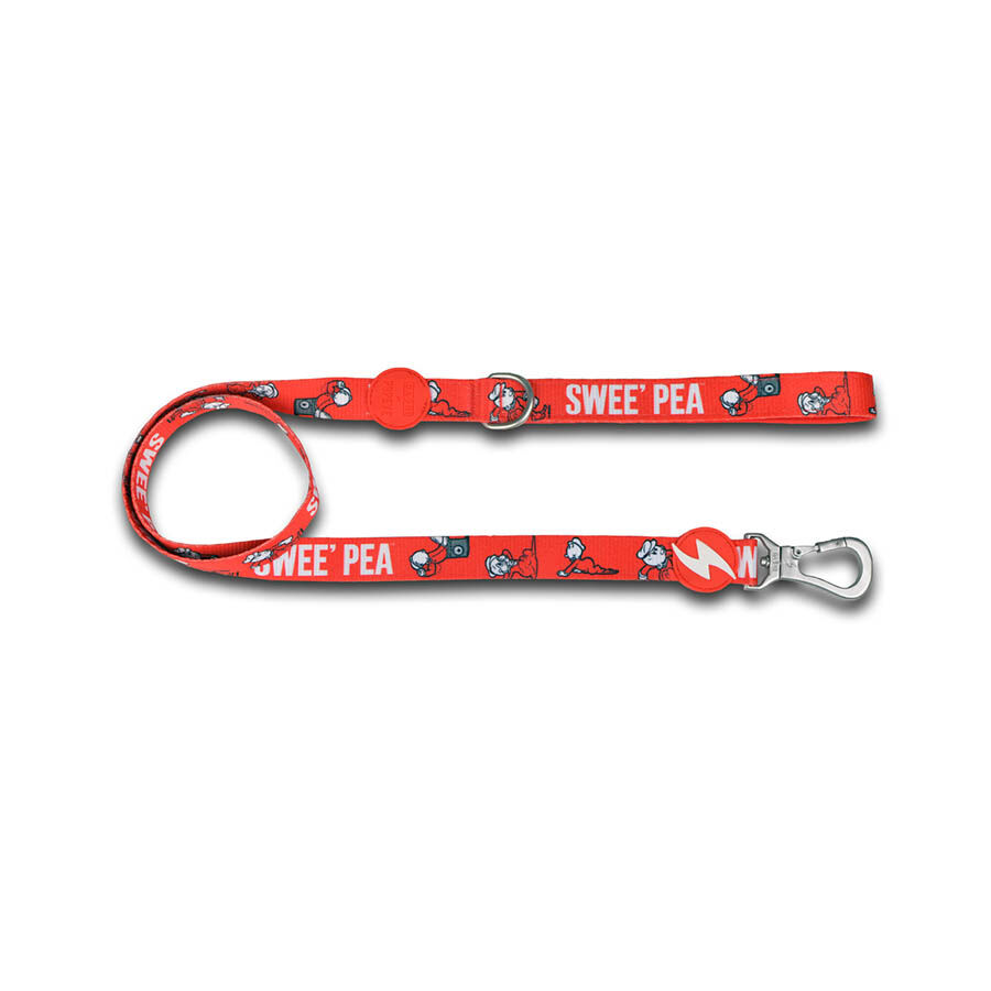 Correa de poli&eacute;ster SweePea para perros color Rojo, , large Imagen numero 1