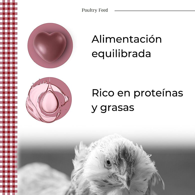 Finca Casarejo Pienso POULTRY FEED Puesta para gallina thumbnail