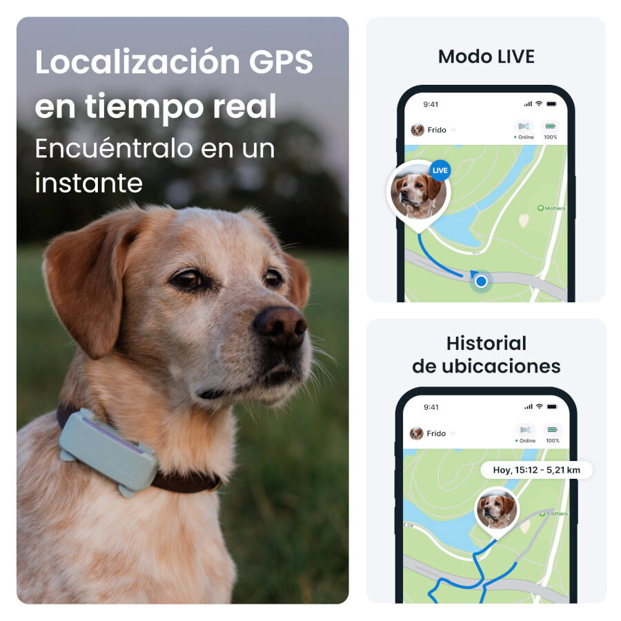 Tractive GPS Dog 6 Negro Rastreador para perros thumbnail