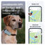 Tractive GPS Dog 6 Negro Rastreador para perros, , large indicador imagen numero 8