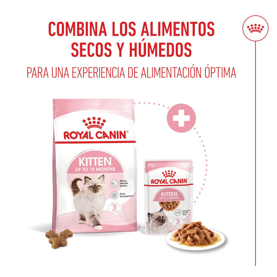 Royal Canin Kitten sobre en salsa para gatos thumbnail