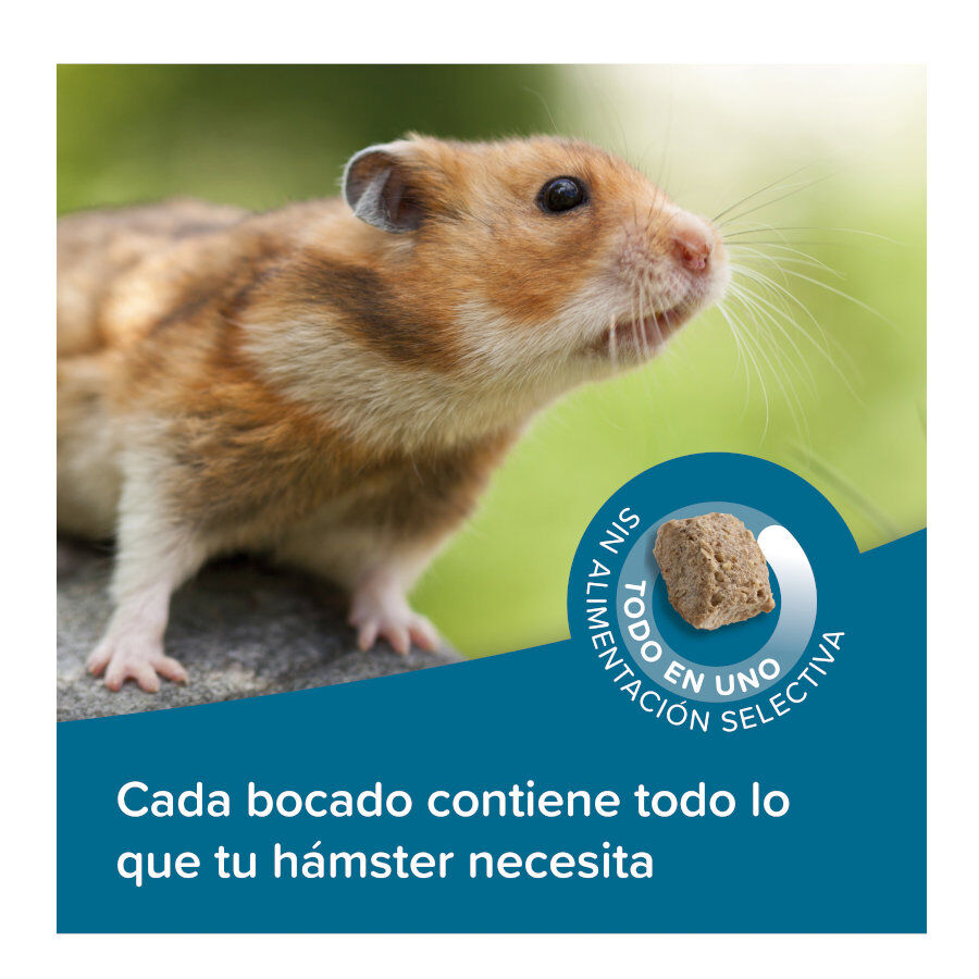 Beaphar Care+ Pienso para hámsteres thumbnail