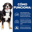 12 kg Hill's Prescription Diet j/d Metabolic + Mobility pienso para perros, , large indicador imagen numero 5