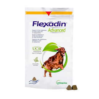 Vetoquinol Flexadin Advanced Condroprotector para perros