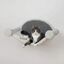 Cama de pared para gatos color Crema, , large indicador imagen numero 3