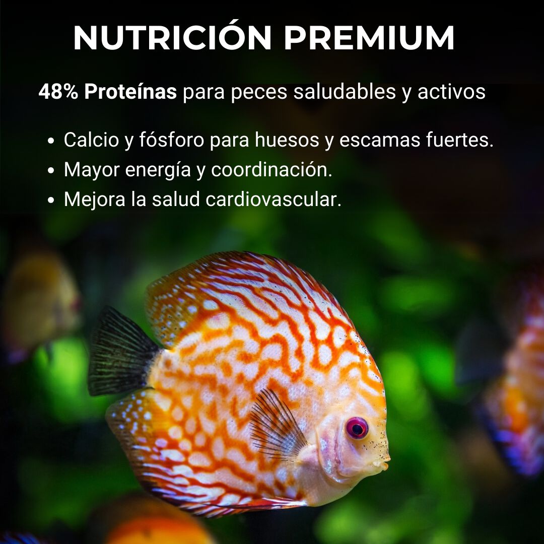 Comida para Peces Tropicales Alimento Premium en Escamas Incros Vital, , large Imagen numero 2