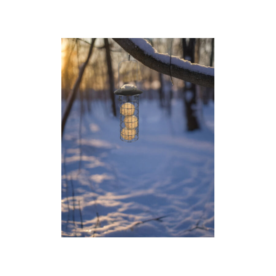 Flamingo Comedero Soporte para Bolas de Grasa para p&aacute;jaros, , large Imagen numero 2