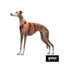 Gotoo Arnés antiescape rojo para perros, , large indicador imagen numero 5
