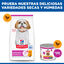 6 kg Hill's Science Plan Mature Adult Small y Mini pollo pienso para perros, , large indicador imagen numero 8